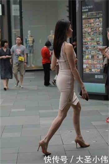 蜜婚之权少的爱妻清音随琴