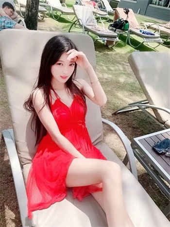 天鹅芭大象直播