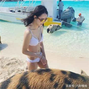 sw婴儿车公园是哪一部