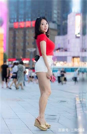 帕拉丁yoyoip