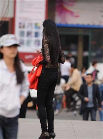 捡到一个狼崽子辛芜苍墨