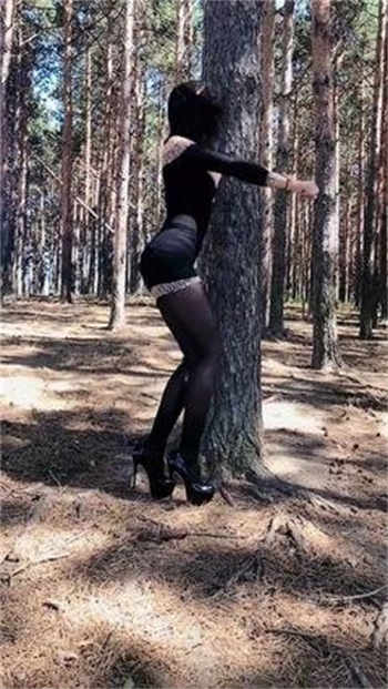 牡丹坊网站入口